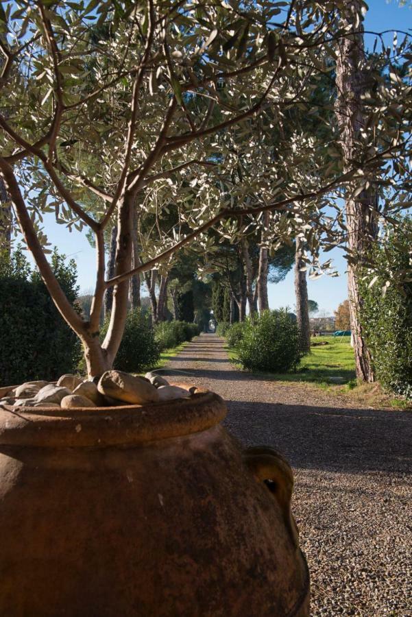 La Vecchia Cantina Guzzardi Lari ภายนอก รูปภาพ